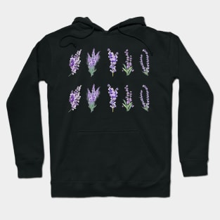 lavender Hoodie